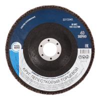 Круг лепестковый торцевой 150х22 Р40, оксид алюминия "TOOLBERG"